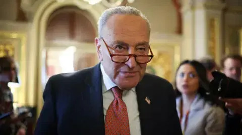 Chuck Schumer backs spending bill to avert US government shutdown - BBC.com